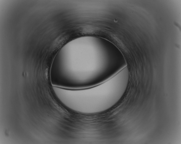 X0000092030454200709061354