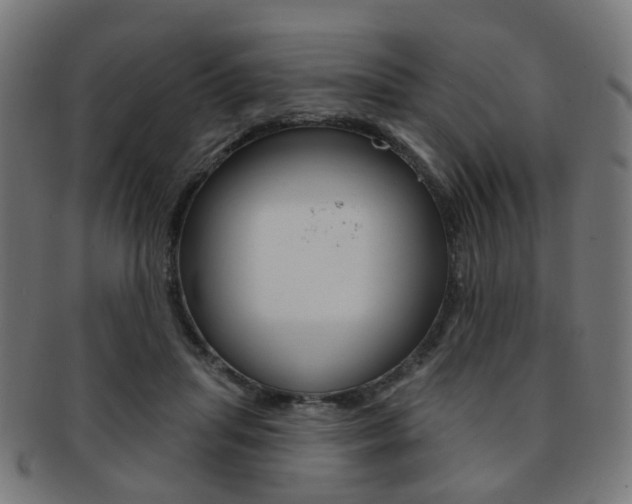 X0000092030455200709061354
