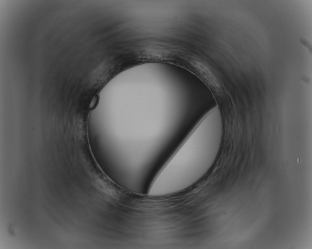X0000092030457200709061354