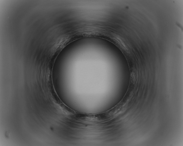 X0000092030458200709061354