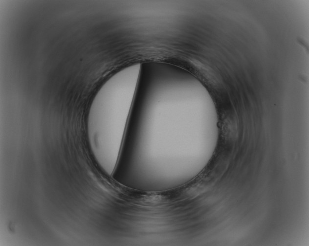 X0000092030459200709061354
