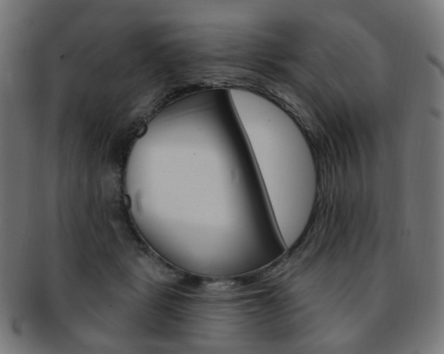 X0000092030461200709061354
