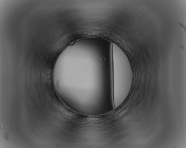 X0000092030462200709061354