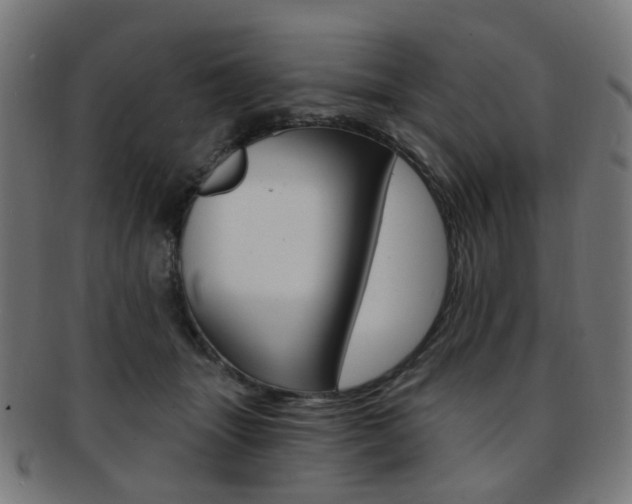 X0000092030463200709061354