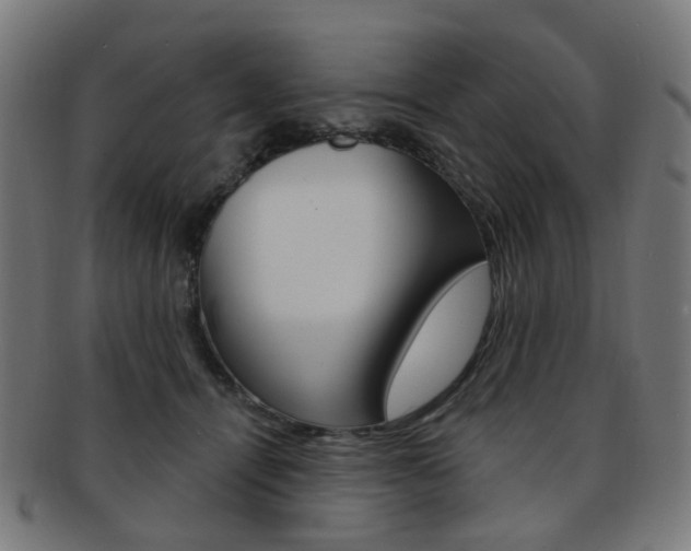 X0000092030464200709061354
