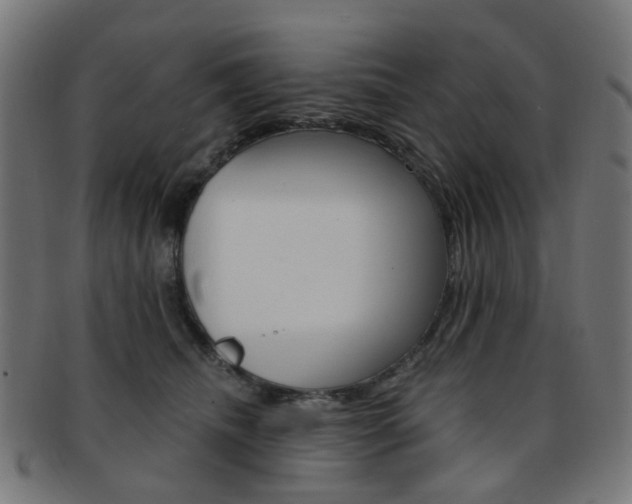 X0000092030468200709061354