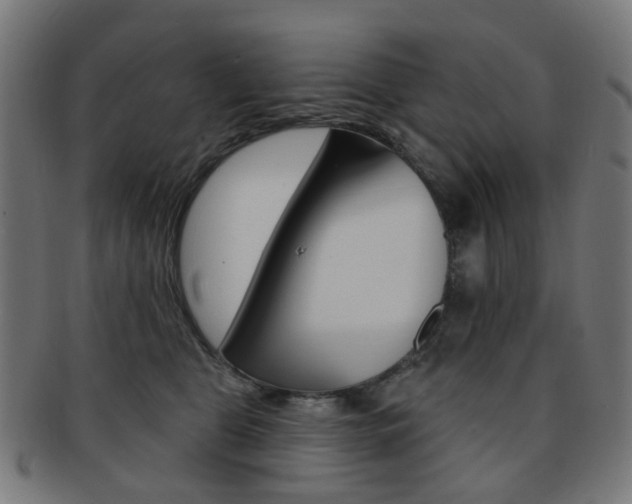 X0000092030469200709061354