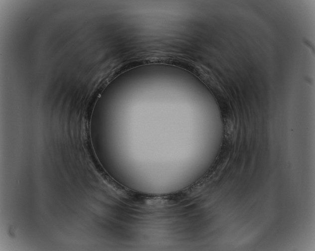 X0000092030470200709061354