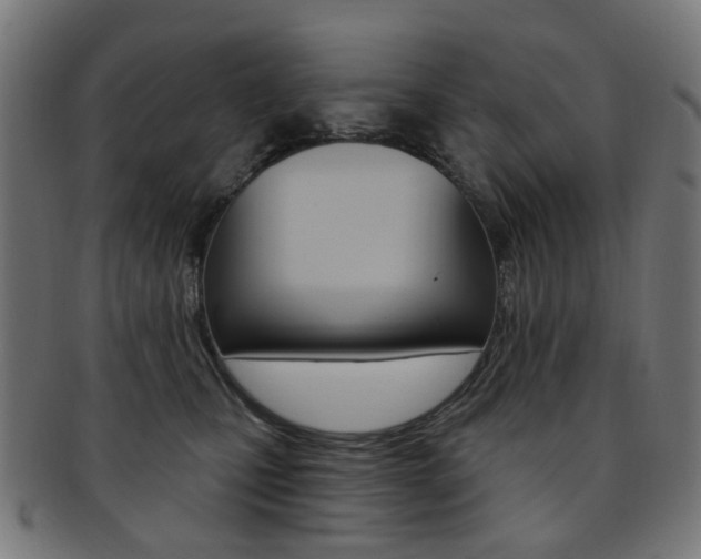 X0000092030471200709061354