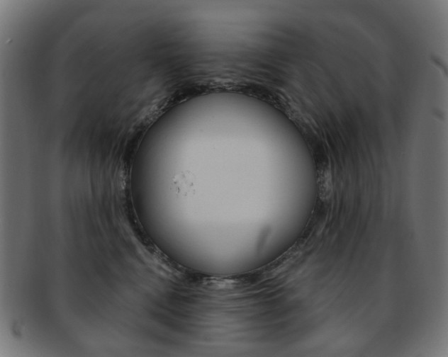 X0000092030472200709061354