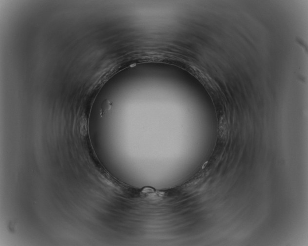 X0000092030474200709061354