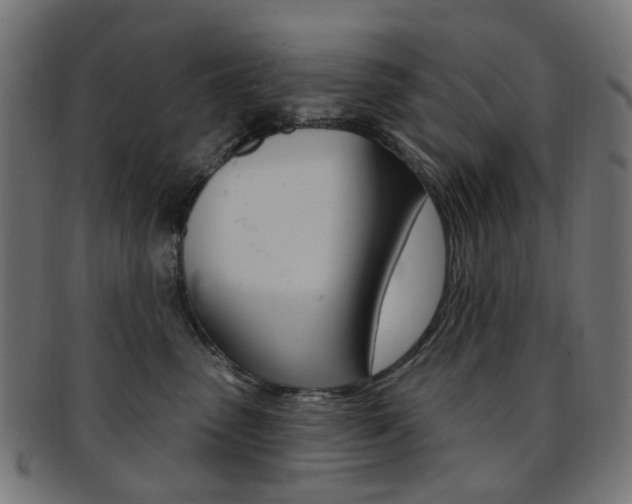 X0000092030475200709061354