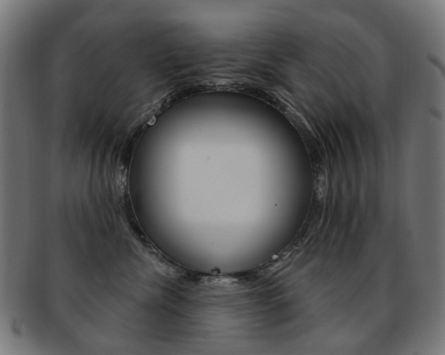 X0000092030476200709061354