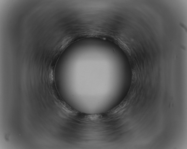 X0000092030479200709061354