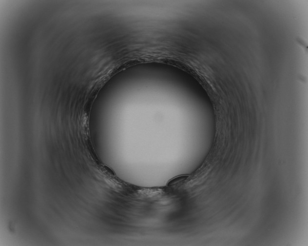 X0000092030480200709061355