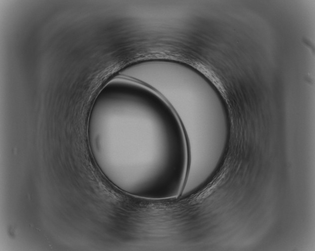 X0000092030481200709061354