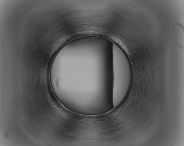 X0000092030482200709061354