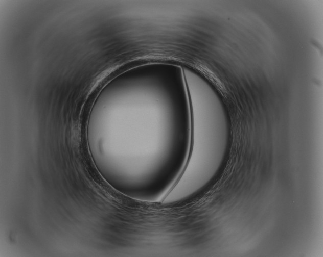 X0000092030484200709061354