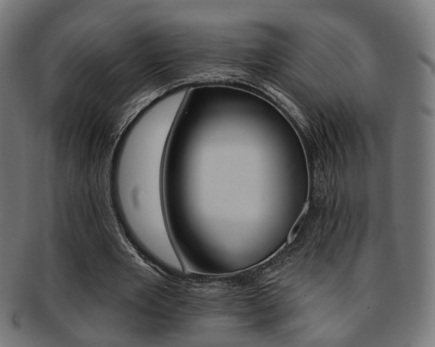 X0000092030485200709061354