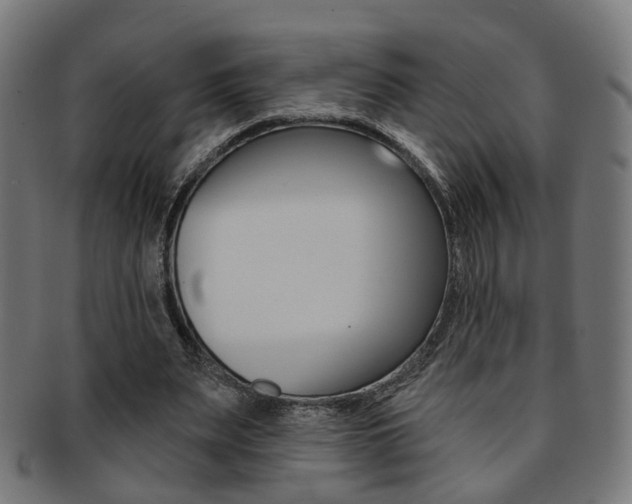 X0000092030487200709061354