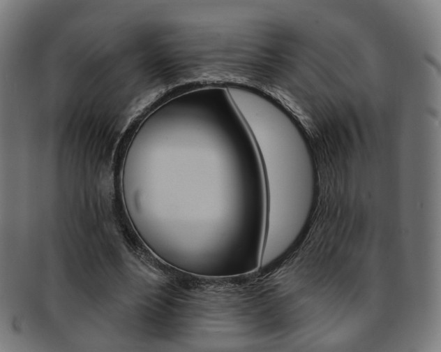 X0000092030488200709061354