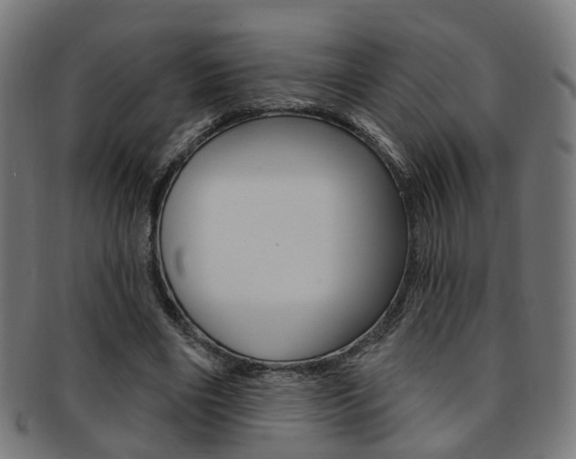 X0000092030490200709061354