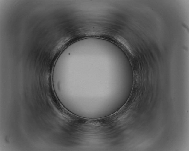 X0000092030491200709061354