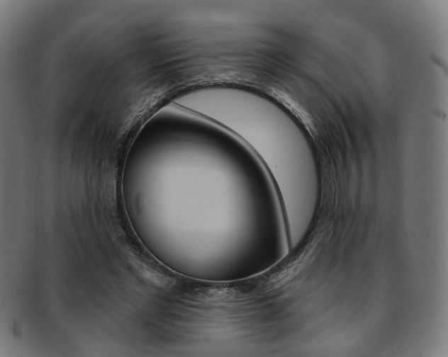 X0000092030493200709061354