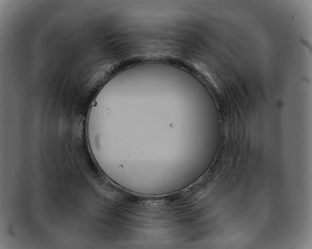 X0000092030495200709061354