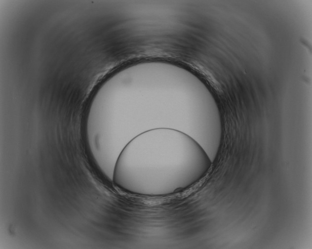 X0000092030496200709061354