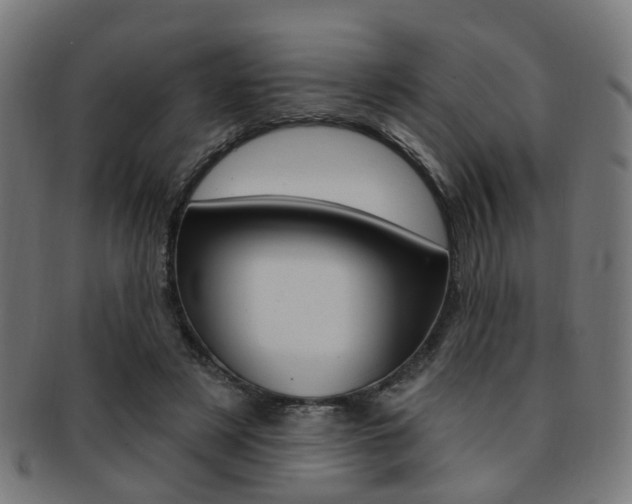 X0000092030497200709061354