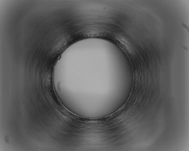 X0000092030499200709061354