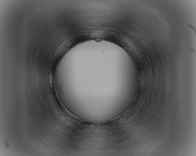X0000092030502200709061354