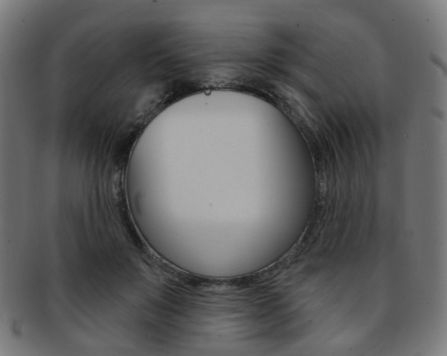 X0000092030503200709061354