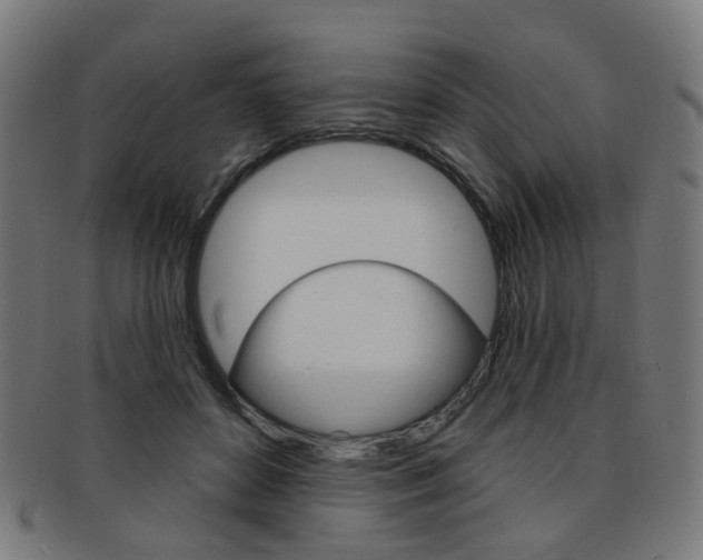 X0000092030504200709061353
