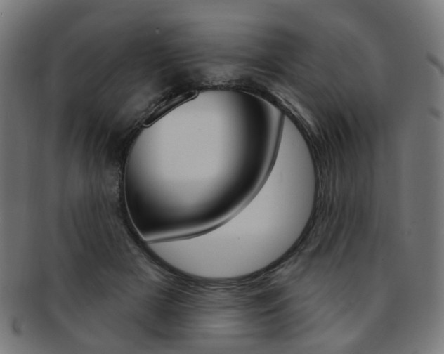 X0000092030505200709061353