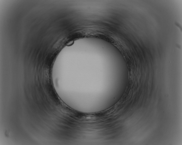 X0000092030506200709061353