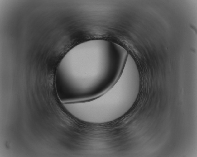 X0000092030509200709061353