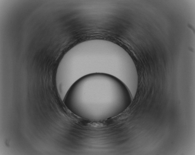 X0000092030512200709061353
