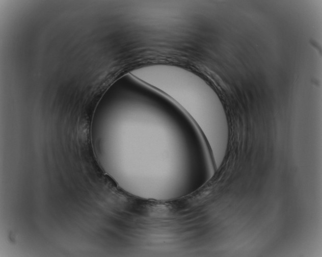X0000092030513200709061353
