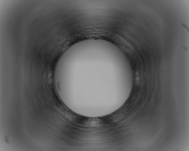 X0000092030514200709061353