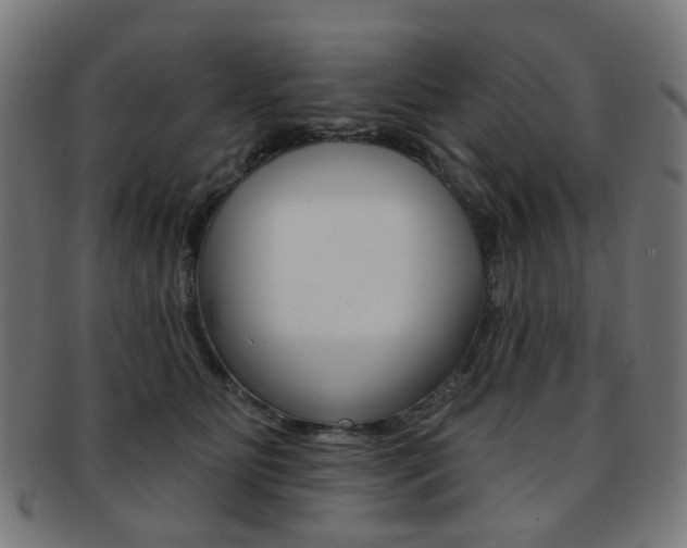 X0000092030515200709061353