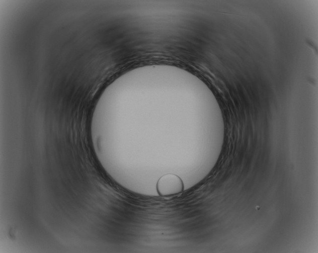 X0000092030516200709061353