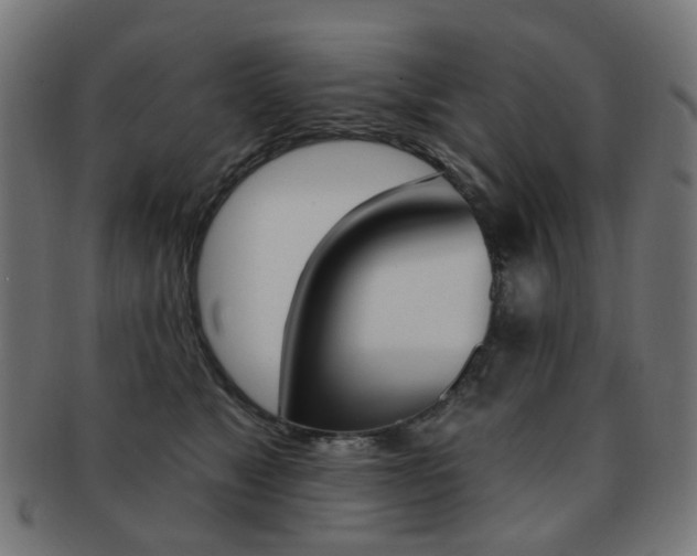 X0000092030517200709061353
