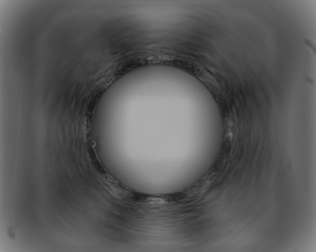 X0000092030519200709061353