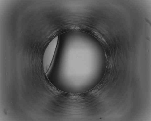 X0000092030521200709061353
