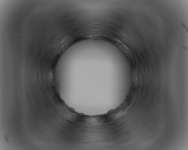 X0000092030523200709061353