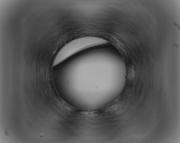 X0000092030524200709061353