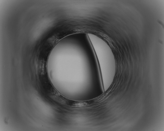 X0000092030525200709061353