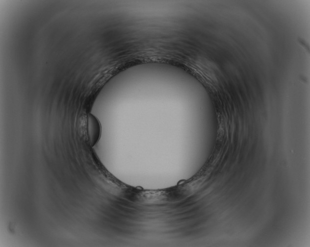 X0000092030526200709061353